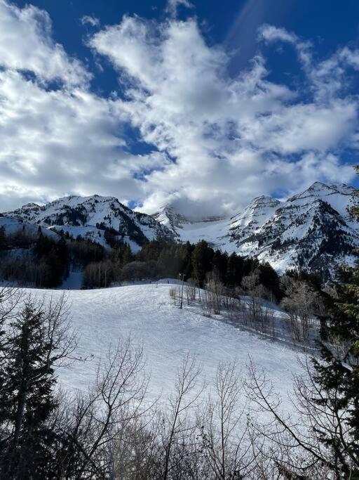 Апартаменты Utah Valley Retreat - Luxurious Self Check-In Apt, Uvu Byu, Ev Charge Орем Экстерьер фото